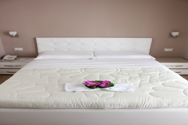 Hotel Boutique Vila Verde (Tirana)
